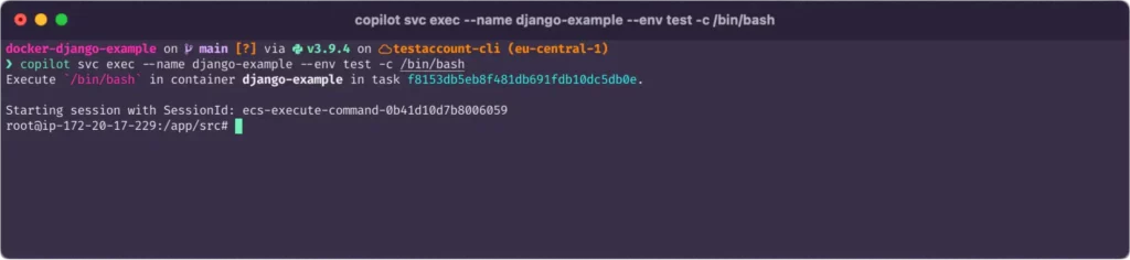 Terminal command: AWS copilot svc exec --name django-example --env test -c /bin/bash